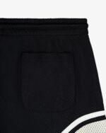 Colorblock Court Short