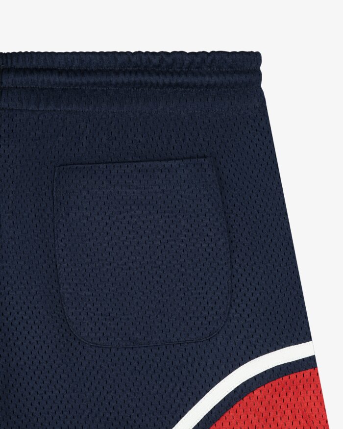 Colorblock Court Short